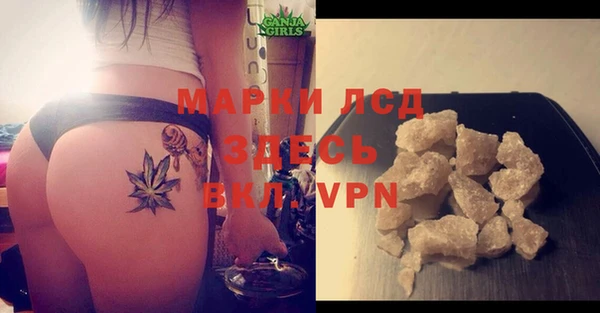 PSILOCYBIN Балабаново