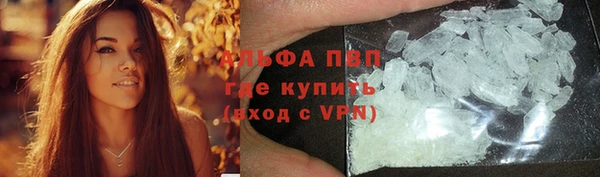 PSILOCYBIN Балабаново