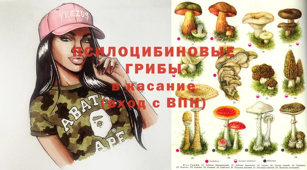 мдпв Балахна