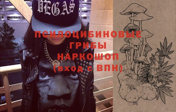 мдпв Балахна
