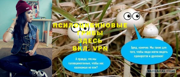 PSILOCYBIN Балабаново