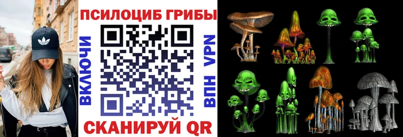Галлюциногенные грибы Cubensis  Реж 
